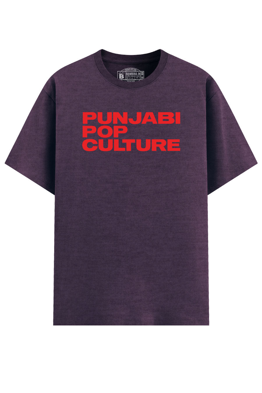 Punjabi Pop Culture Eco T-Shirt
